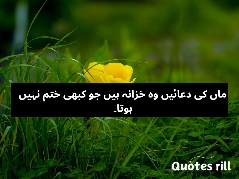 Maa quotes in Urdu