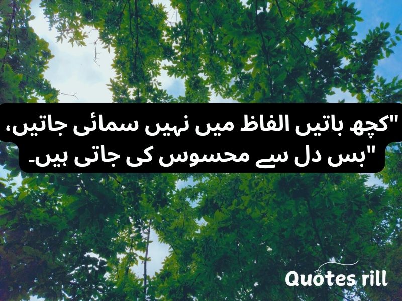 Urdu Quotes About Life And Love