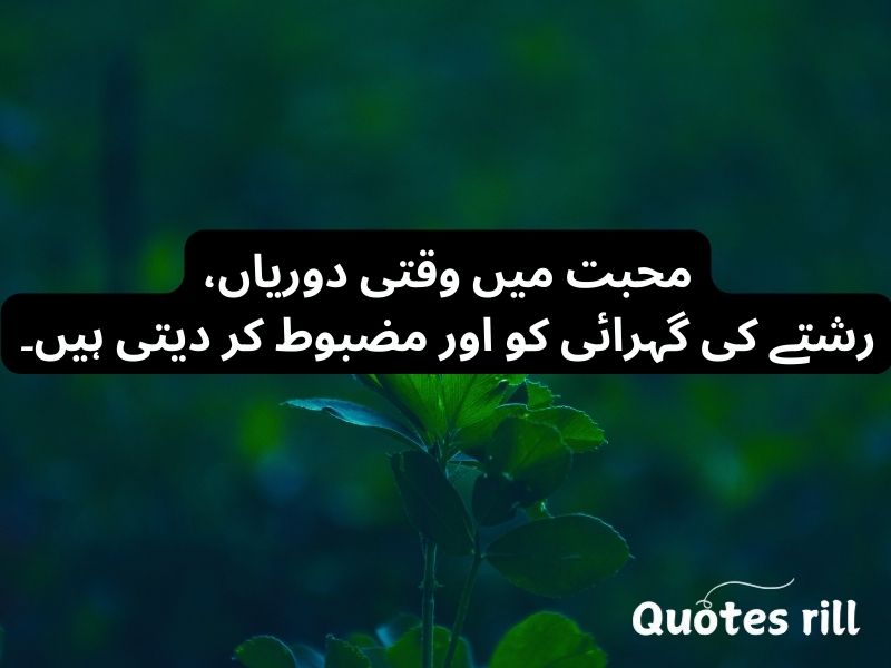 Urdu Quotes About Life And Love