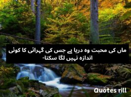 Maa Quotes in urdu