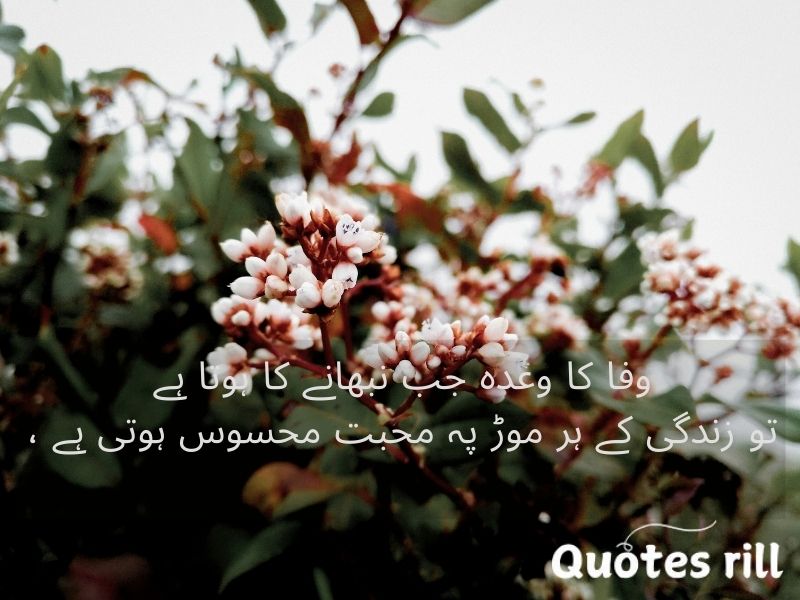 Heart touching love quotes in urdu