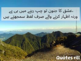 Heart touching love quotes in urdu