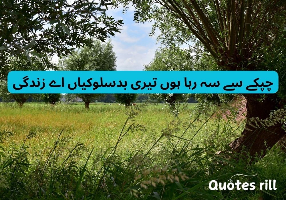 Best One Line Sad Quotes in Urdu