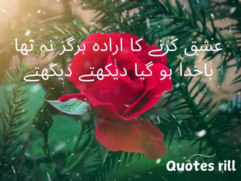 Heart touching love quotes in urdu