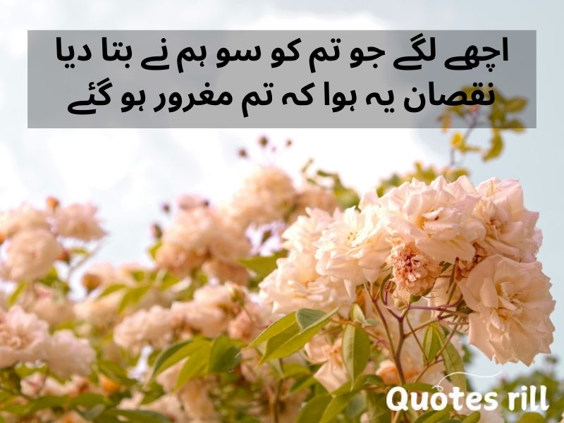 Heart touching love quotes in urdu