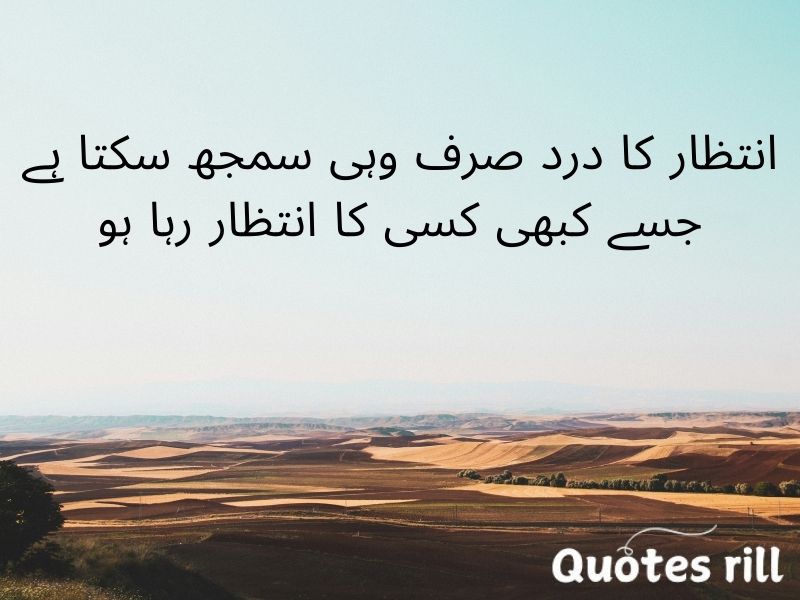 Heart touching love quotes in urdu