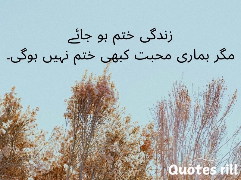 Heart touching love quotes in urdu