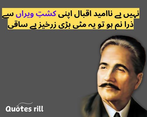 9 November Iqbal Day Quotes