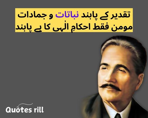 9 November Iqbal Day Quotes