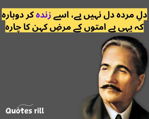 9 November Iqbal Day Quotes