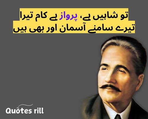 9 November Iqbal Day Quotes