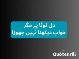 Sad Love Quotes in Urdu