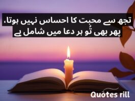 emotional quotes in urdu